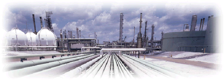 Institutional and Governmental Industrial Natural Gas Supplier Institutional and Governmental Industrial Natural Gas Supplier